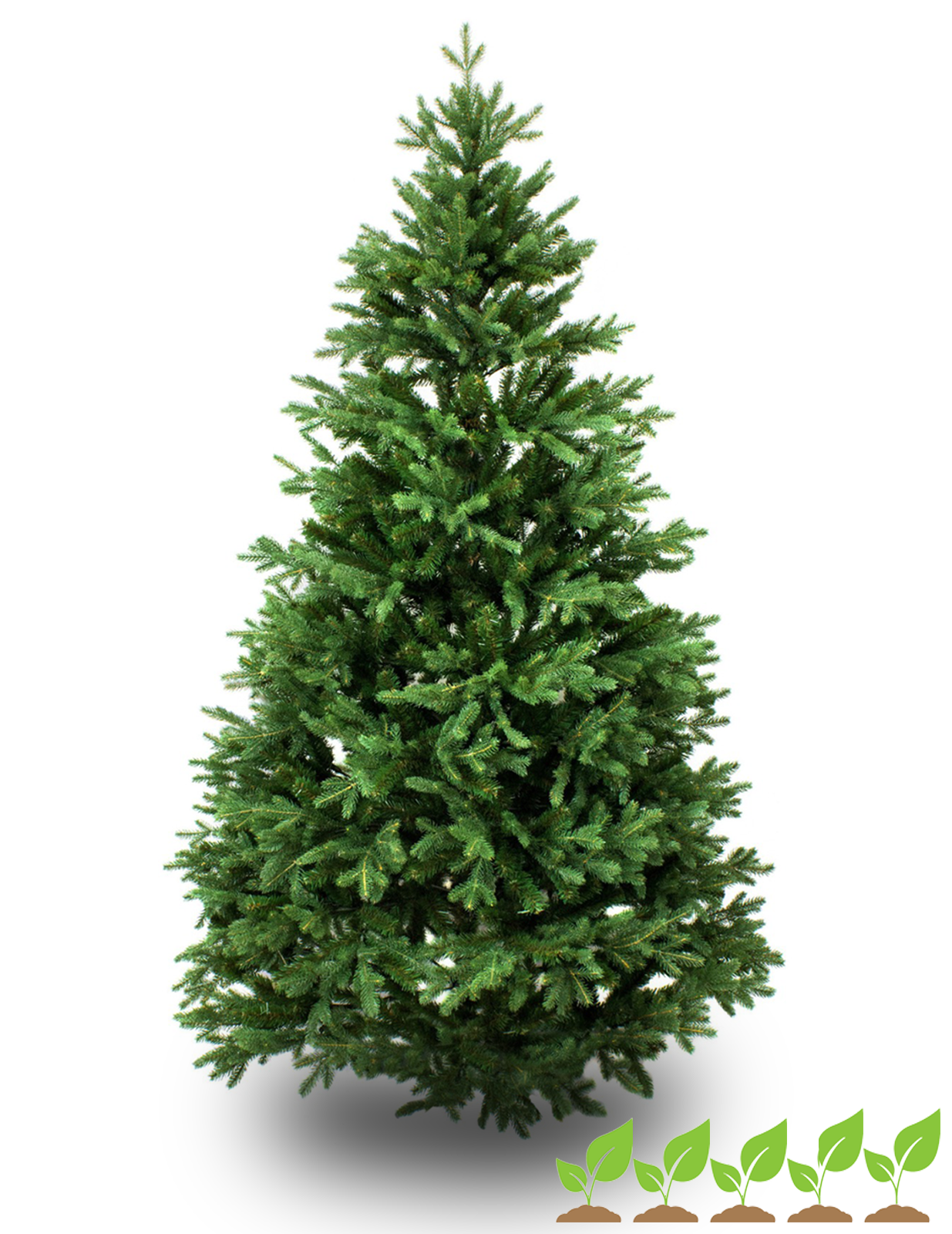 Weihnachtsbaumpaket mit 175-200cm Schnittbaum und 80-100cm Baum im Topf